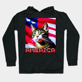 Cat america Hoodie